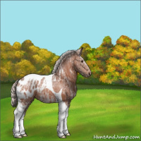 Horse Color:Silver Brown Ice Tobiano Blanket 