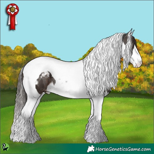 Horse Color:Liver Chestnut Splash Tobiano Appaloosa 