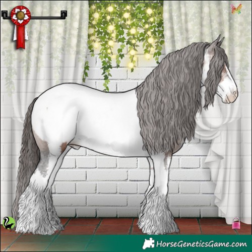 Horse Color:White Spotted Brown Appaloosa 