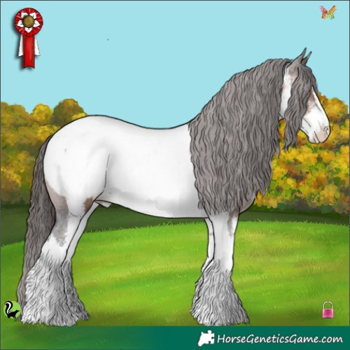 Horse Color:White Spotted Brown Appaloosa 