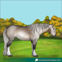 Horse Color:Gray Silver Brown Dun Tobiano 