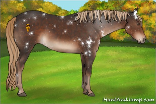 Horse Color:White Spotted Liver Chestnut 