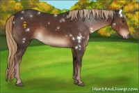 Horse Color:White Spotted Liver Chestnut 