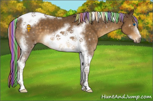 Horse Color:Painted Chocolate Palomino Tobiano Frame