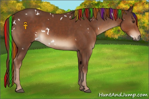 Horse Color:Painted White Spotted Liver Chestnut 