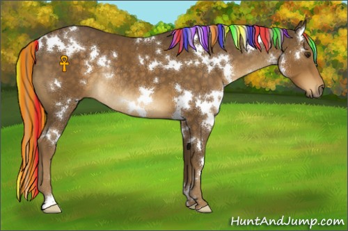 Horse Color:Painted White Spotted Chocolate Palomino Rabicano