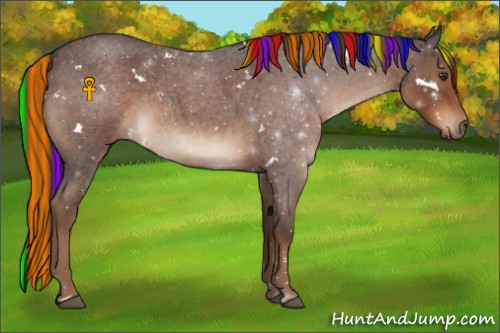 Horse Color:Painted White Spotted Liver Red Roan