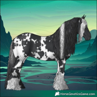 Horse Color:White Spotted Black