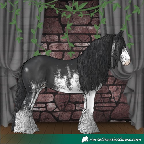 Horse Color:White Spotted Black 