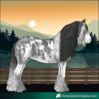 Horse Color:White Spotted Black 
