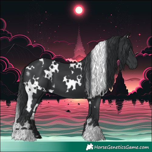 Horse Color:White Spotted Black