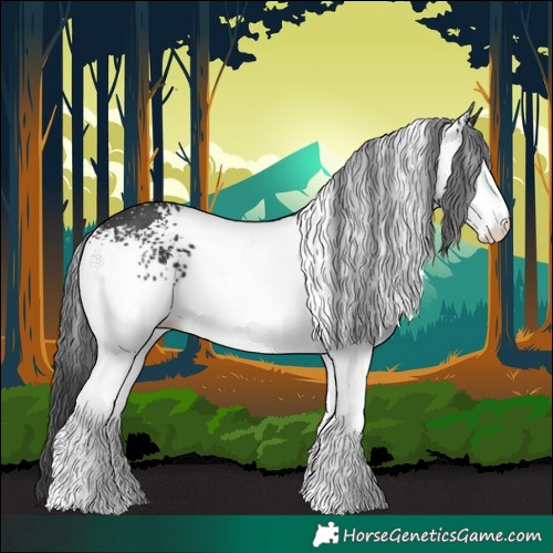Horse Color:White Spotted Black