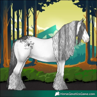 Horse Color:White Spotted Black