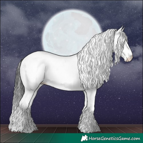 Horse Color:White Spotted Black 