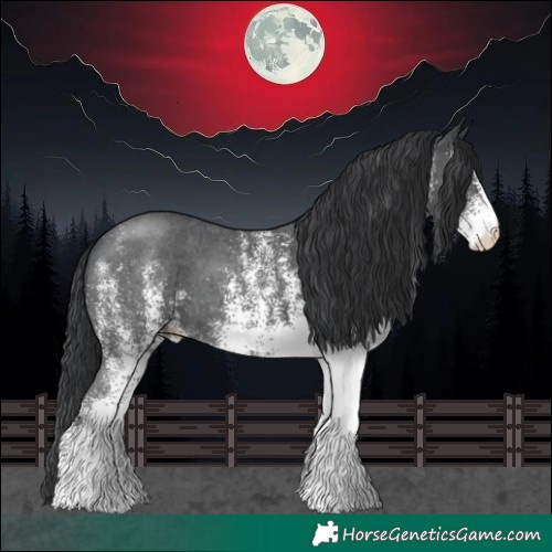 Horse Color:White Spotted Black