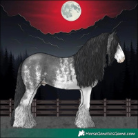 Horse Color:White Spotted Black