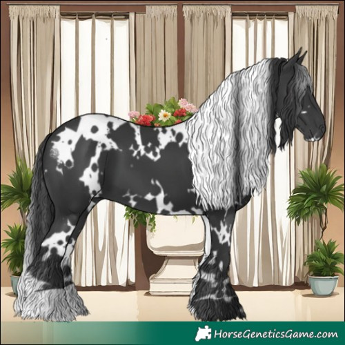 Horse Color:White Spotted Black 