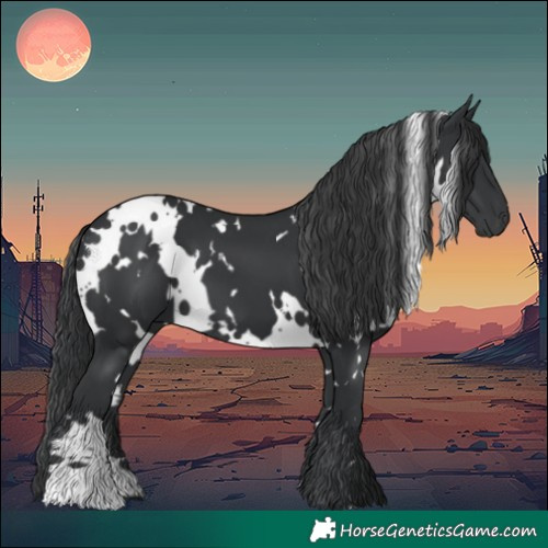 Horse Color:White Spotted Black 