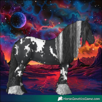 Horse Color:White Spotted Black