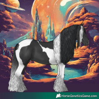 Horse Color:Black Tobiano 