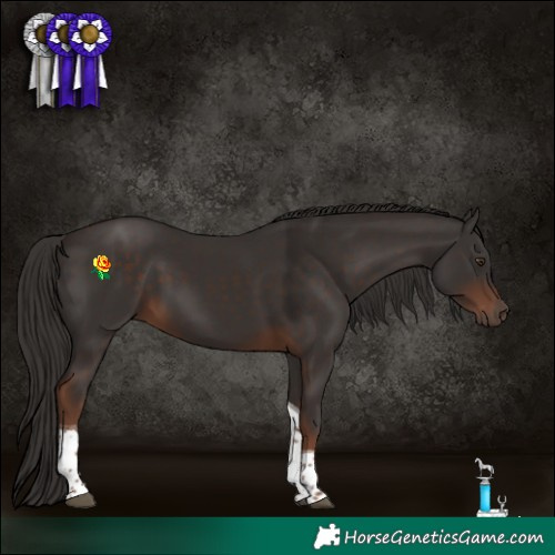 Horse Color:Liver Chestnut Tobiano 