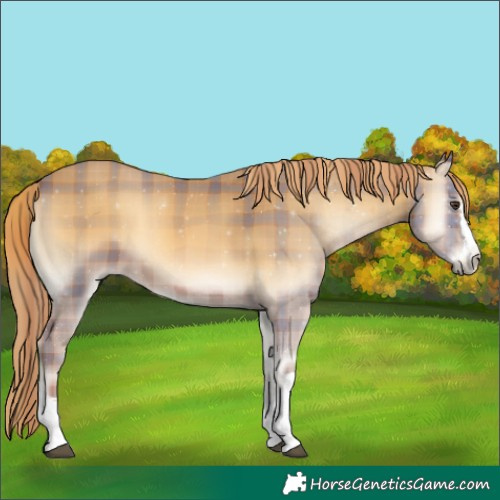 Horse Color:Plaid  Red Onyx 