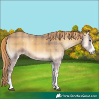 Horse Color:Plaid  Red Onyx 