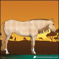 Horse Color:Plaid Red Dun