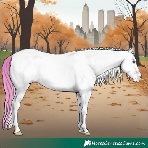 Horse Color:Watercolor White Spotted Chestnut 