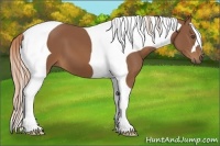 Horse Color:Chestnut Tobiano Frame