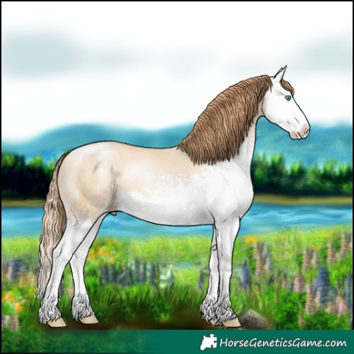 Horse Color:White Spotted Smoky Grullo Pearl Splash 