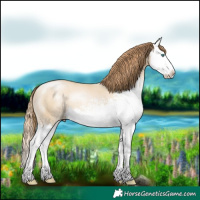Horse Color:White Spotted Smoky Grullo Pearl Splash