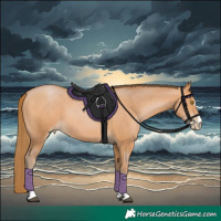Horse Color:Bay Pearl