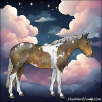 Horse Color:White Spotted Silver Smoky Black Tobiano 