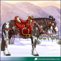 Horse Color:Liver Chestnut Sabino 