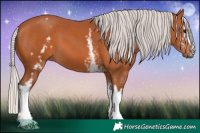 Horse Color:White Spotted Silver Bay 