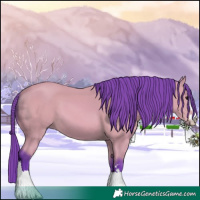 Horse Color:Watercolor Bay 