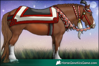 Horse Color:White Spotted Chestnut 