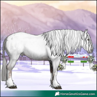 Horse Color:Gray White Spotted Liver Chestnut Blanket 