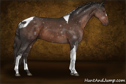 Horse Color:Liver Chestnut Tobiano 