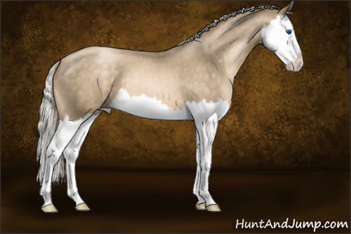 Horse Color:Chocolate Palomino Pearl Sabino Splash 