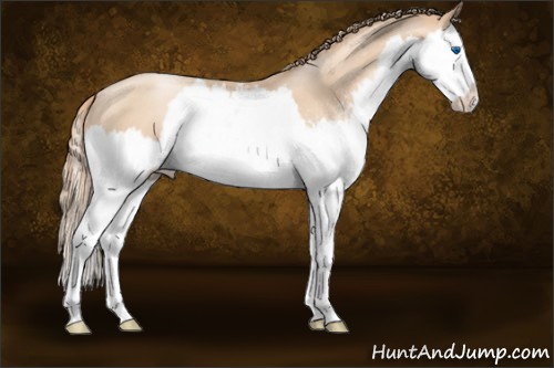 Horse Color:White Spotted Gold Champagne Pearl Splash 