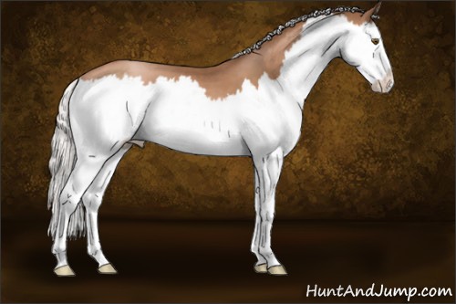 Horse Color:Silver Brown Pearl Splash 