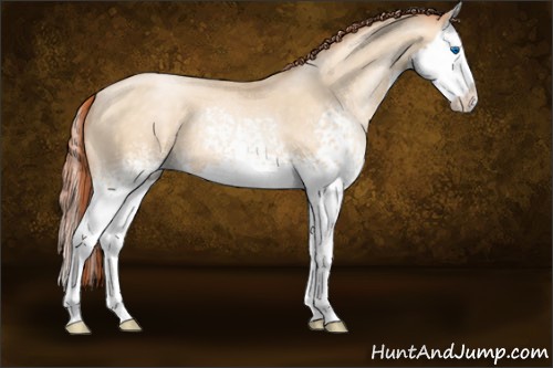 Horse Color:White Spotted Sable Cream Champagne Pearl Splash 