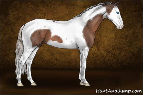 Horse Color:Silver Black Splash Tobiano 