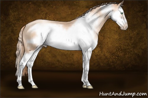Horse Color:Gold Champagne Pearl Splash Frame 