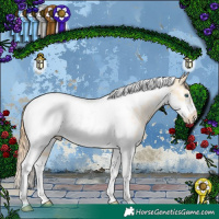 Horse Color:White Spotted Buckskin Pearl Dun Tobiano Frame Rabicano 