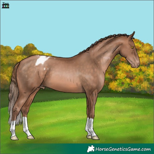 Horse Color:Brown Pearl Varnish