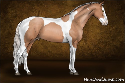 Horse Color:Silver Brown Pearl Splash Tobiano 