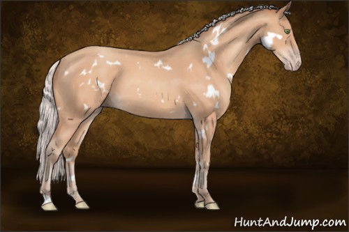 Horse Color:White Spotted Silver Amber Champagne 